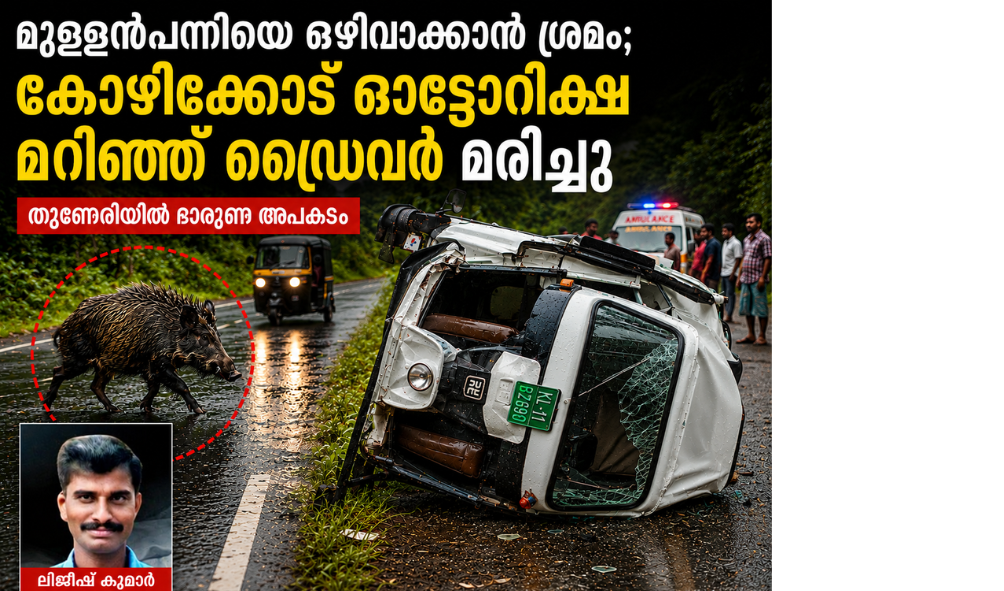 Driver dies after autorickshaw overturns in Kozhikode