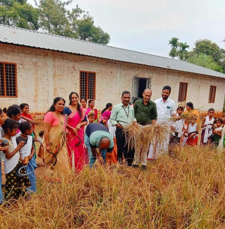 Pazhukkara NSLP School with Success Story of Harvesting