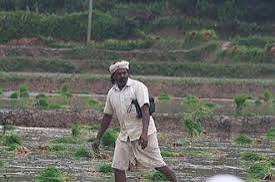 പത്മശ്രീ ചെറുവയൽ രാമൻ അന്തരിച്ചു  പരമ്പരാഗത നെൽവിത്തുകളുടെ കാവലാൾക്ക് വിട; അന്ത്യം 74-ാം വയസ്സിൽ