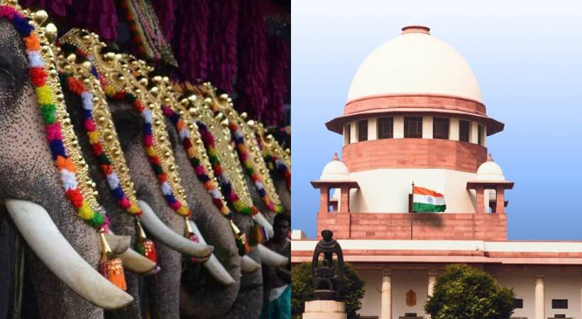 Elephant lifting is part of culture Supreme Court stays HC's interim order