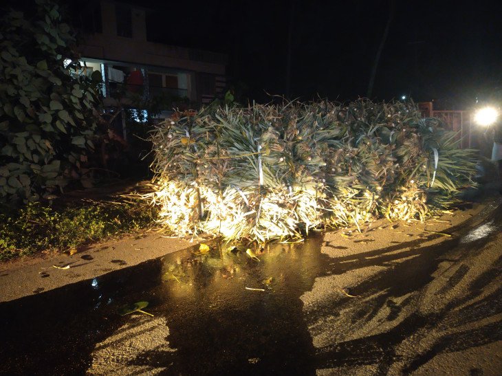 A lorry carrying pineapple saree overturned and the cleaner was injured