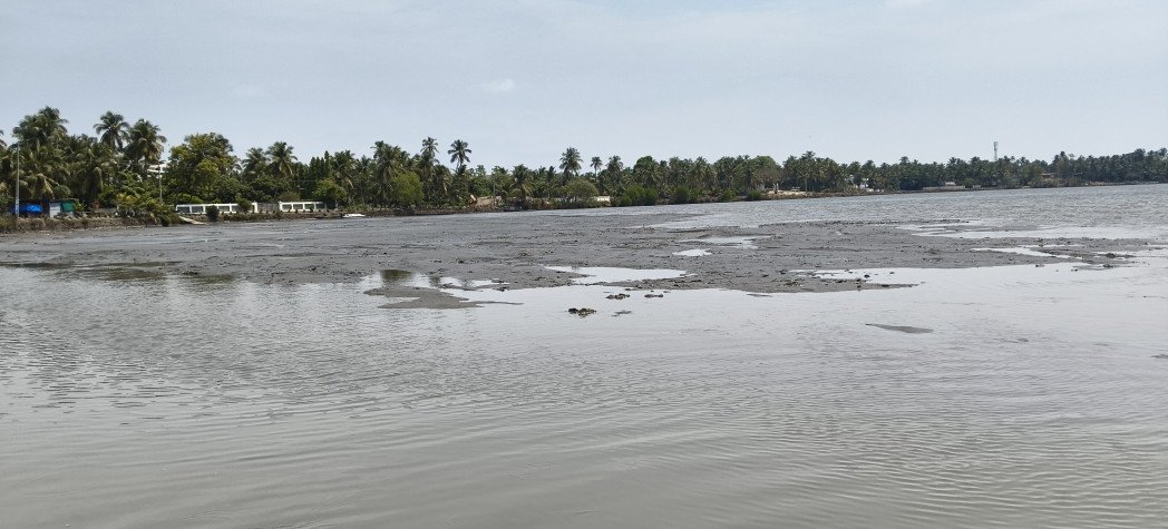 Fishermen in distress due to mud and mud in Chetua river